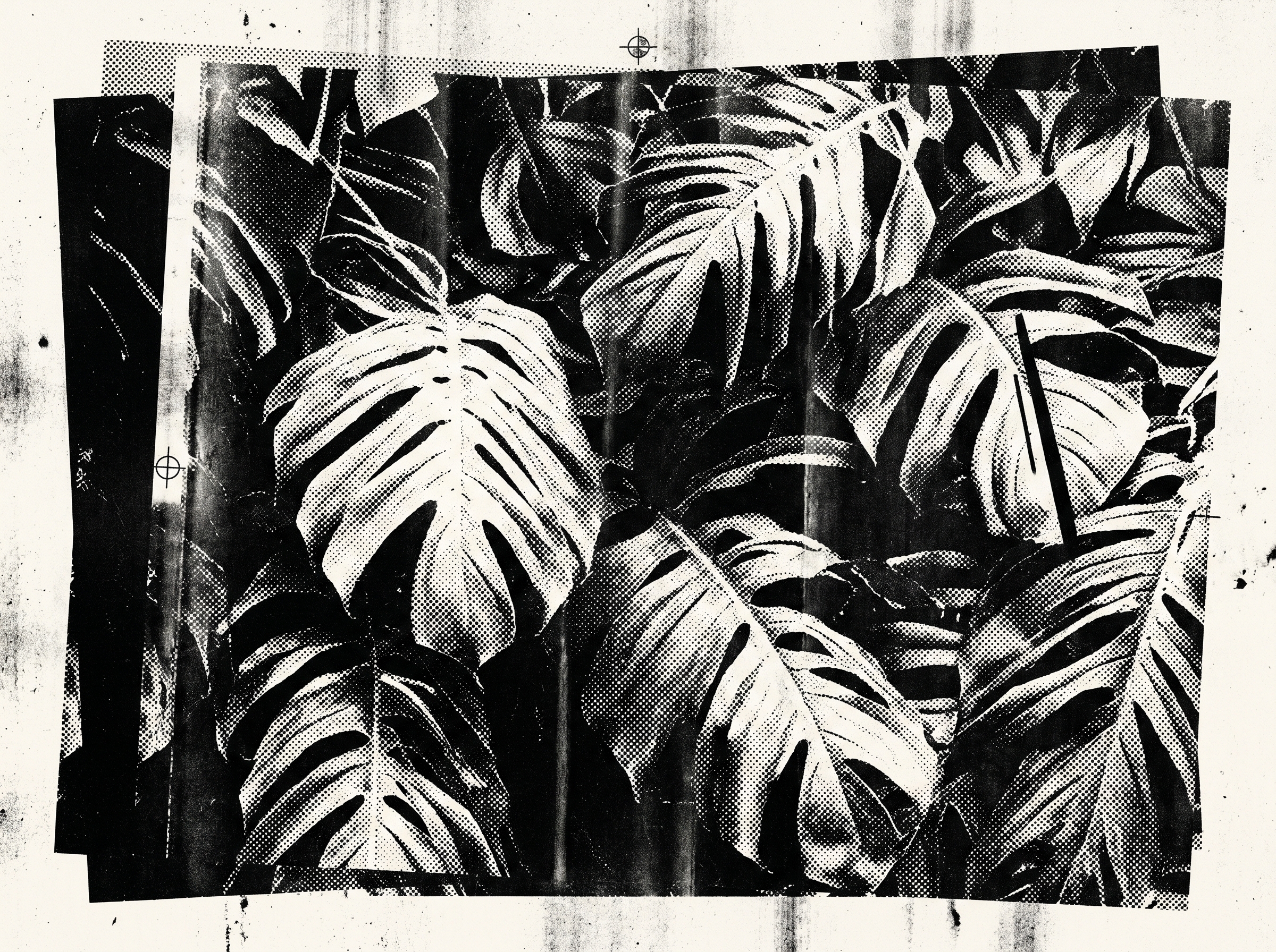 Toner proof 3